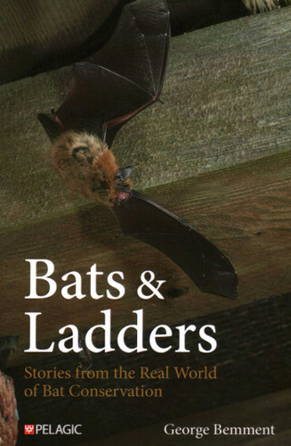 Bats & Ladders: Stories from the Real World of Bat Conservation book cover by George Bemment