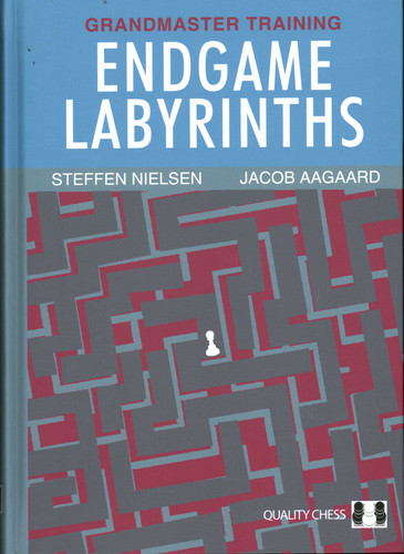 Endgame Labyrinths book cover by Jacob Aagaard