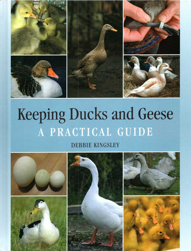 Keeping Ducks and Geese: A Practical Guide book cover by Debbie Kingsley