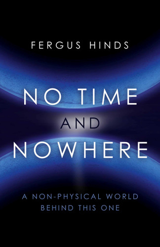No Time and Nowhere: A Non-Physical World Behind this One book cover by Fergus Hinds