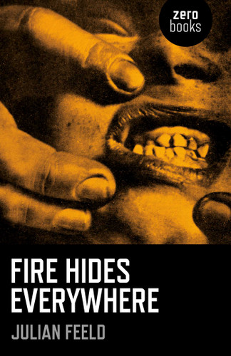 Fire Hides Everywhere book cover by Julian Feeld