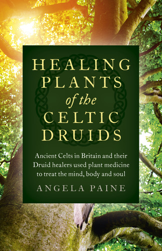 Healing Plants of the Celtic Druids: Ancient Celts in Britain and their Druid Healers Used Plant Medicine to Treat the Mind, Body and Soul book cover by Angela Paine