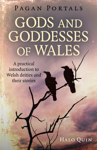 Pagan Portals - Gods and Goddesses of Wales: A Practical Introduction To Welsh Deities And Their Stories book cover by Halo Quin