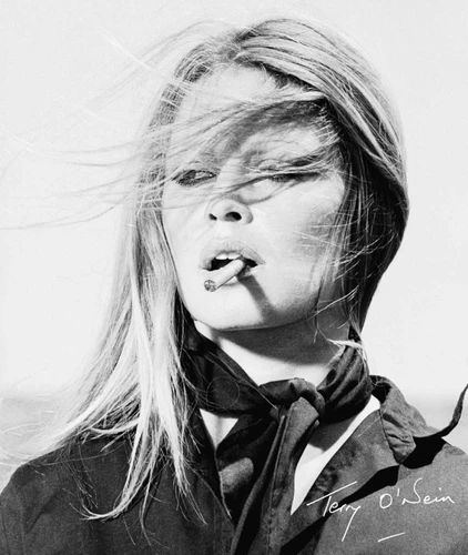Terry O'Neill: The Opus book cover by Terry O'Neill