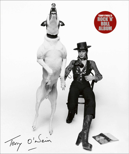 Terry O'Neill's Rock 'n' Roll Album book cover by Terry O'Neill