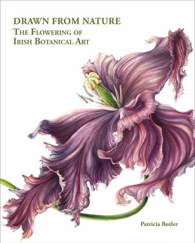 Drawn From Nature: The Flowering of Irish Botanical Art book cover by Patricia Butler