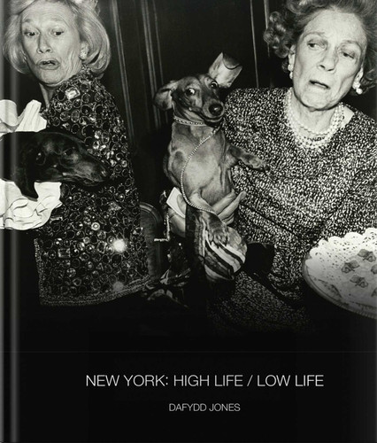 New York: High Life / Low Life (Dafydd Jones) book cover by 