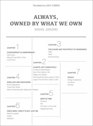 Always, Owned by What We Own (China Culture Perspectives) book cover by Wang Jianwei
