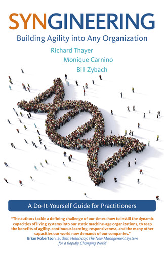 Syngineering: Building Agility into Any Organization: A Do-It-Yourself Guide for Practitioners book cover by Richard  Evan Thayer