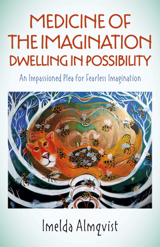 Medicine of the Imagination: Dwelling in Possibility: An Impassioned Plea for Fearless Imagination book cover by Imelda Almqvist