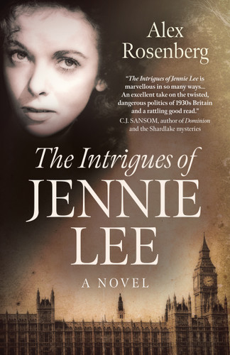Intrigues of Jennie Lee: A Novel book cover by Alex Rosenberg