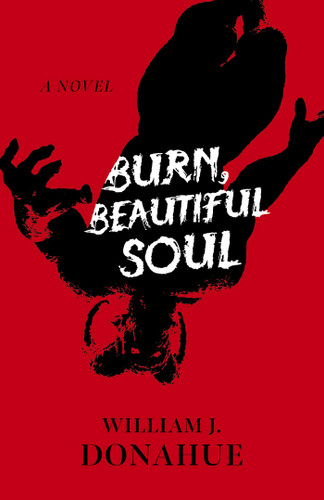 Burn, Beautiful Soul: A Novel book cover by William  J. Donahue