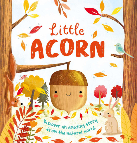 Nature Stories: Little Acorn: Padded Board Book book cover by IglooBooks