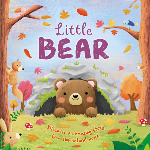 Nature Stories: Little Bear: Padded Board Book book cover by IgooBooks