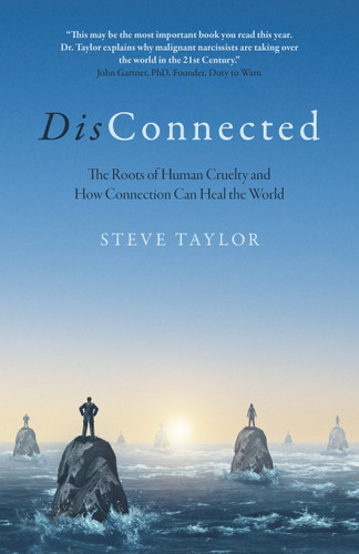DisConnected: The Roots of Human Cruelty and How Connection Can Heal the World book cover by Steve Taylor PhD, author of 'The Leap' and 'Spiritual Science'