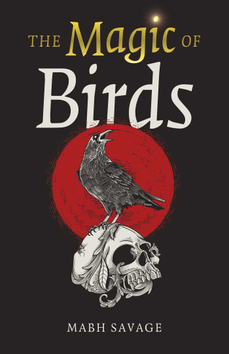 The Magic of Birds book cover by Mabh Savage
