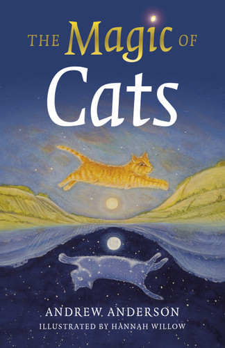 The Magic of Cats book cover by Andrew Anderson
