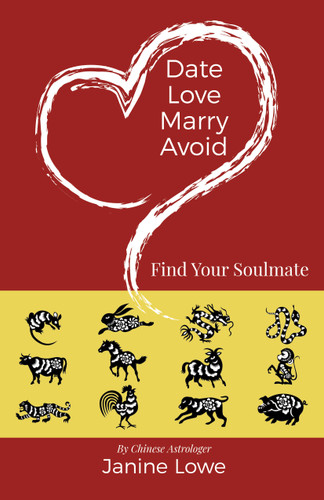 Date, Love, Marry, Avoid: Find Your Soulmate book cover by Janine Lowe