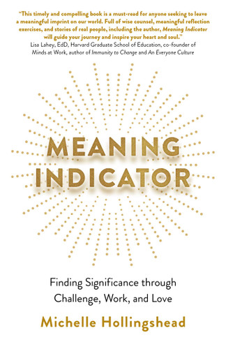 Meaning Indicator: Finding Significance through Challenge, Work, and Love book cover by Michelle Hollingshead