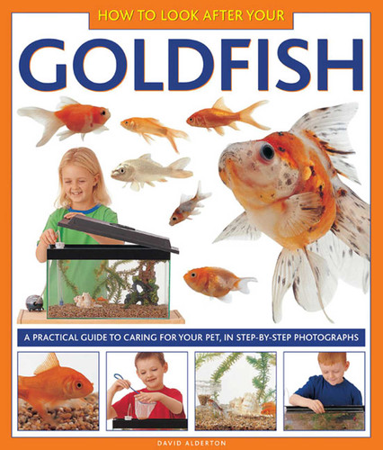 How To Look After Your Goldfish: A practical guide to caring for your pet, in step-by-step photographs book cover by David Alderton