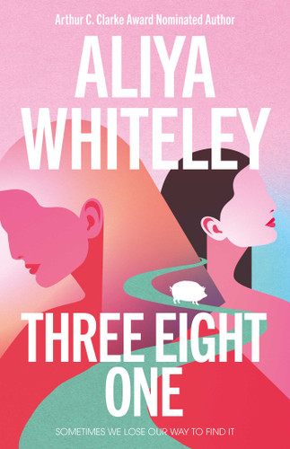Three Eight One book cover by Aliya Whiteley