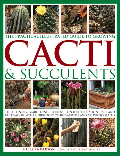 The Practical Illustrated Guide to Growing Cacti & Succulents: The Definitive Gardening Reference On Identification, Care And Cultivation, With A Directory Of 400 Varieties And 700 Photographs book cover by Miles Anderson, Terry Hewitt