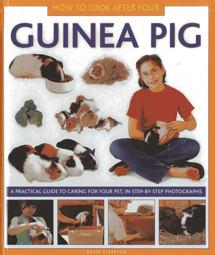 How To Look After Your Guinea Pig: A practical guide to caring for your pet, in step-by-step photographs book cover by David Alderton
