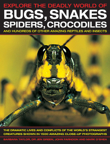 Explore The Deadly World of Bugs, Snakes, Spiders, Crocodiles: The dramatic lives and conflicts of the world's strangest creatures shown in 1500 amazing close-up photographs book cover by Jen Green, John Farndon, Mark O'Shea
