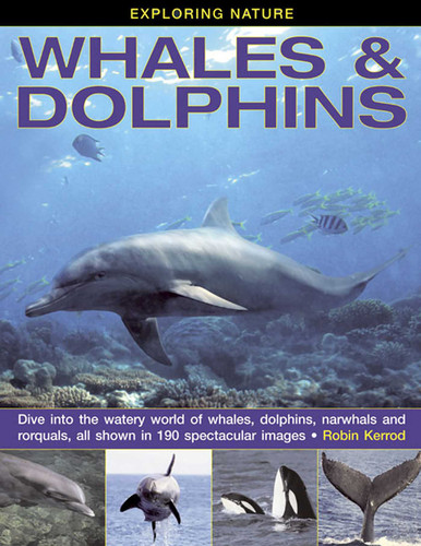 Exploring Nature: Whales & Dolphins: Dive Into the Watery World of Whales, Dolphins, Narwhals and Rorquals, All Shown in 190 Spectacular Images book cover by Robin Kerrod