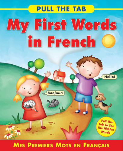 Pull the Tab: My First Words in French: Mes Premiers Mots en Francais - Pull the Tab To See the Hidden Words! book cover by Sally Delaney