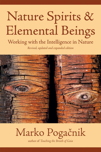 Nature Spirits & Elemental Beings: Working with the Intelligence in Nature book cover by Marko Pogacnik