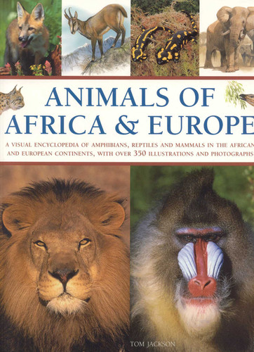 Animals of Africa and Europe: A Visual Encyclopedia of Amphibians, Reptiles and Mammals in the Asian and Australasian Continents, with over 350 Illustrations and Photographs book cover by Tom Jackson