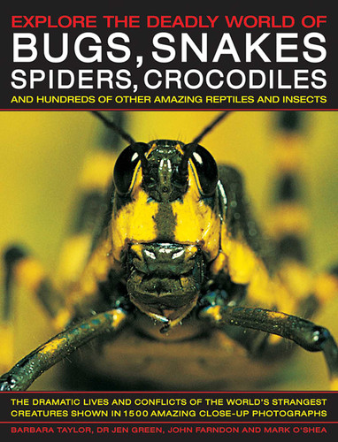 Explore the Deadly World of Bugs, Snakes, Spiders & Crocodiles: The Dramatic Lives And Conflicts Of The World'S Strangest Creatures Shown In 1500 Amazing Close-Up Photographs book cover by Barbara Taylor, John Farndon, Jen Green, Mark O'Shea
