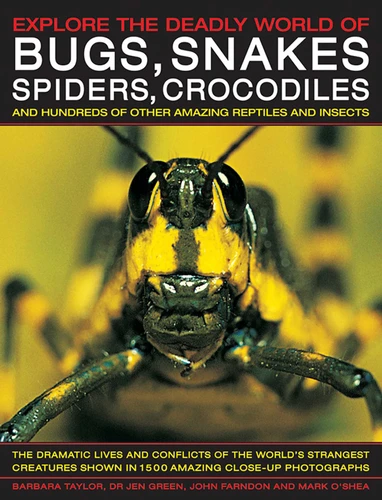 Explore the Deadly World of Bugs, Snakes, Spiders & Crocodiles: The Dramatic Lives And Conflicts Of The World'S Strangest Creatures Shown In 1500 Amazing Close-Up Photographs book cover by Barbara Taylor, John Farndon, Jen Green, Mark O'Shea