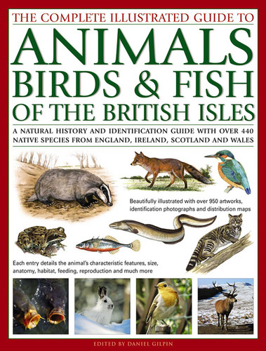 The Complete Illustrated Guide to Animals, Birds & Fish of the British Isles: A Natural History And Identification Guide With Over 440 Native Species From England, Ireland, Scotland And Wales book cover by Daniel Gilpin
