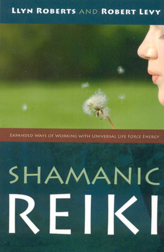 Shamanic Reiki book cover by Robert Levy, Llyn Roberts