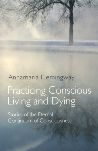 Practicing Conscious Living and Dying: Stories of the Eternal Continuum of Consciousness book cover by Annamaria Hemingway