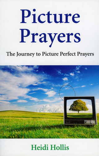 Picture Prayers: The Journey to Picture Perfect Prayers book cover by Heidi Hollis