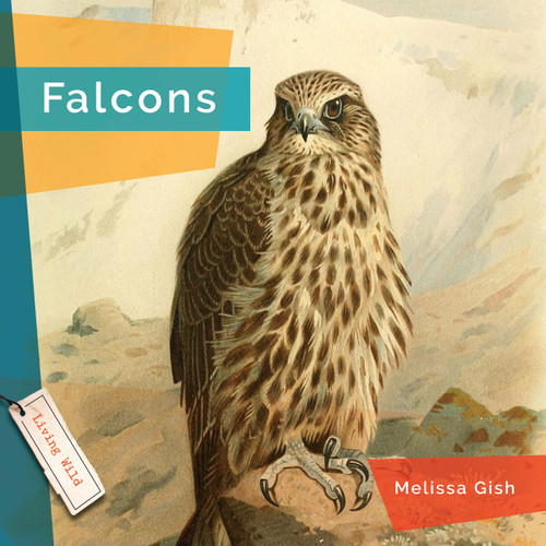 Falcons book cover by Melissa Gish