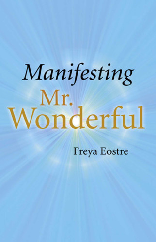 Manifesting Mr. Wonderful book cover by Freya Eostre