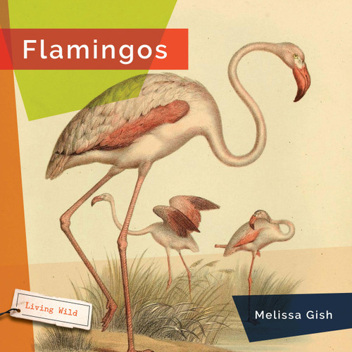 Flamingos book cover by Melissa Gish
