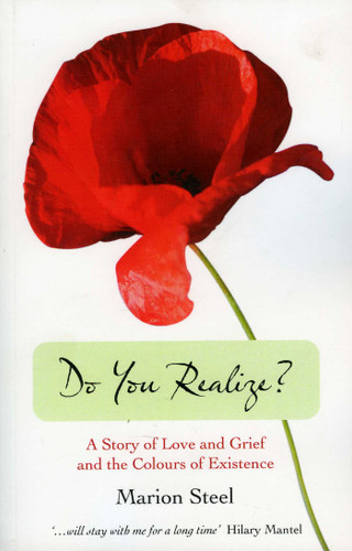 Do You Realize?: A Story of Love and Grief and the Colours of Existence book cover by Marion Steel