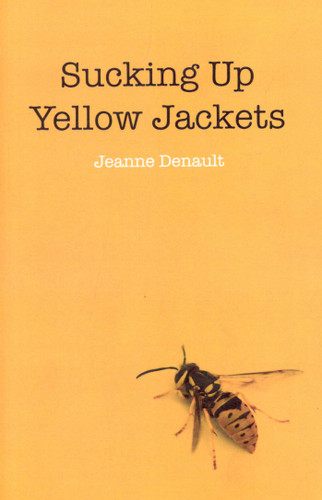 Sucking Up Yellow Jackets: Raising an Undiagnosed Asperger Syndrome Son Obsessed with Explosives book cover by Jeanne Denault