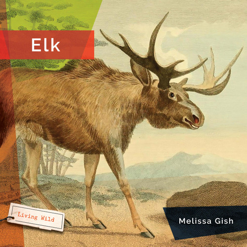 Elk book cover by Melissa Gish