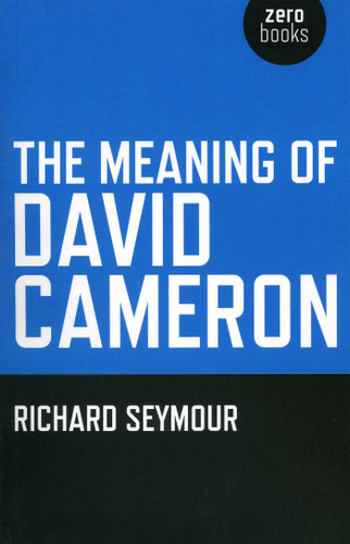 The Meaning of David Cameron book cover by Richard Seymour