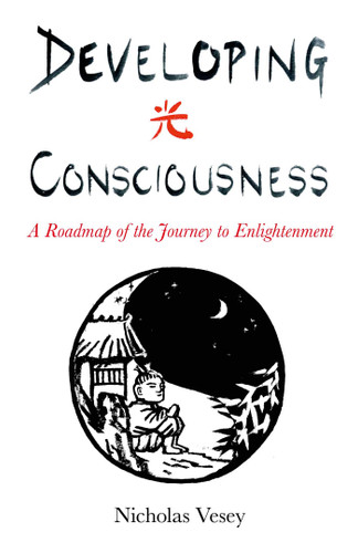 Developing Consciousness: A Roadmap of the Journey to Enlightenment book cover by Nicholas Vesey