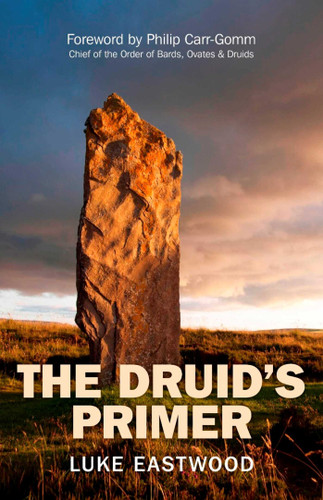 The Druid's Primer book cover by Luke Eastwood