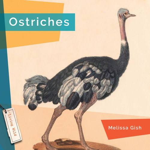 Ostriches book cover by Melissa Gish