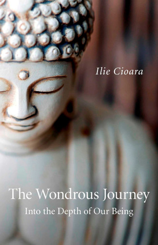 The Wondrous Journey: Into the Depth of Our Being book cover by Ilie Cioara