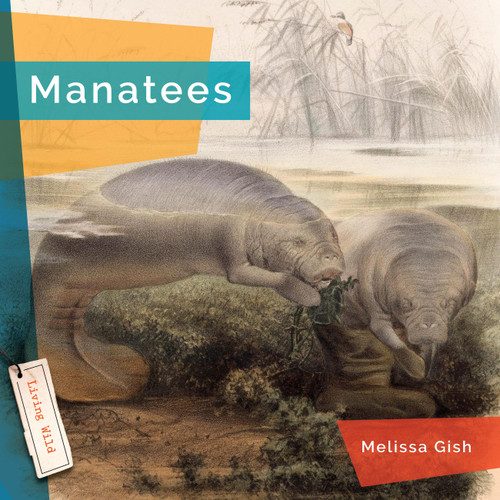 Manatees book cover by Melissa Gish